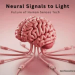 Neural Signals to Light: Future of Human Senses Tech
